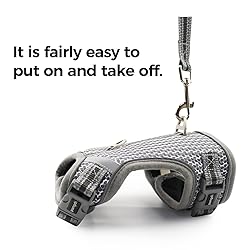 pangdi Cat Harness and Leash Escape Proof Cat Leash