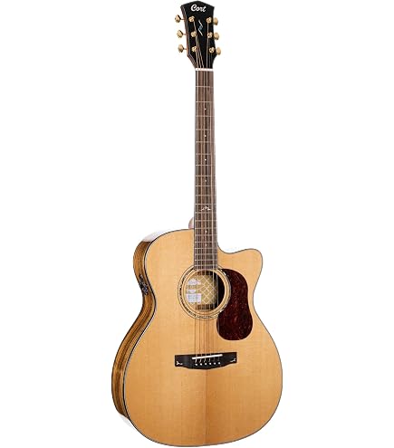 Amazon.com: Cort GOLDA10 Gold Series A10 Cocobolo Grand Auditorium