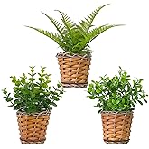 Season 2 Season Small Fake Plants, 3 Pack Mini Potted Artificial Fern, Eucalyptus, Aglaia Odorata Plant in Rattan Pots, for Farmhouse, Home Decor, Office, Bathroom, Desk, Indoor & Outdoor