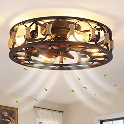 BUXVRCS 19.68'' Flush Mount Caged Ceiling Fan with