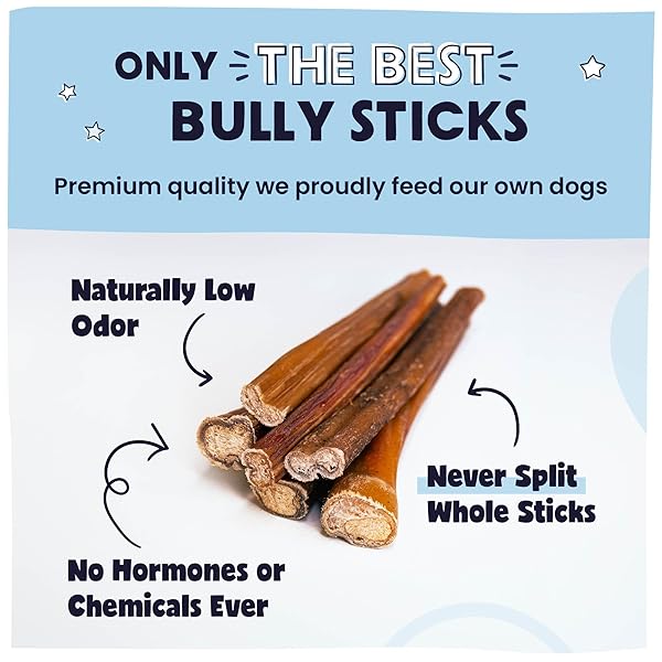 PAWSTRUCK NATURAL 5-8″ BULLY STICKS FOR DOGS – BEST LONG-LASTING, RAWHIDE-FREE, LOW ODOR DENTAL CHEW TREAT – HEALTHY SINGLE INGREDIENT, 100% REAL BEEF – 8 OZ BAG – PACKAGING MAY VARY