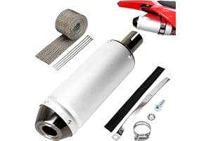 EOPOAYI 1.1 Inch Motorcycle Slip on Muffler for 125cc 110cc 4 Stroke Pit Dirt Bike CRF50 SSR Tao tao DB10 Coolster Baja, Universal 28mm Exhaust Silencer for ATV Mini Bike Quad 4 Wheeler Go Kart Parts