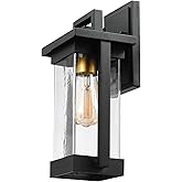 Globe Electric 60000028 1-Light Outdoor Wall Sconce, Matte Black, Brass Accent, Clear Seeded Glass Shade, Weather Resistant, 