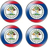 HSQCEZ 4 Pcs Belize Flag Pin Round 1 Inch, Lapel Pins Souvenir Badge for Hat Clothes Backpack,Belizeans Flag Brooch Accessories Party Favors,Patriotic Pin Accessories for Men/Women