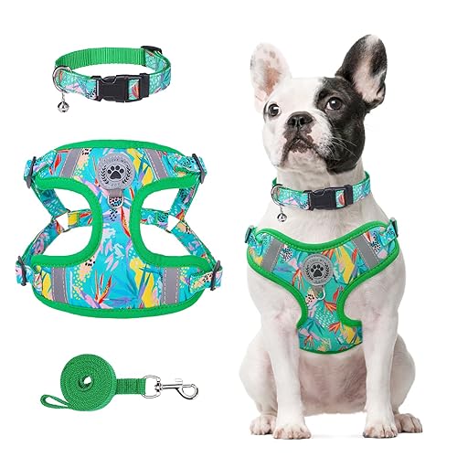 BEAUTYZOO Dog Harness Collar and Leash Set, No Pull Step in Pet Harness for Small Sized Dogs, Adjustable No Escape Puppy Vest Harnesses Outdoor Walking Running, Soft Reflective Vest, Green XS