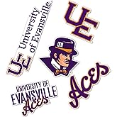 Desert Cactus University of Evansville Sticker Purple Aces UEr Vinyl Decals Laptop Water Bottle Car Scrapbook Sheet T2 (Type 2-2)