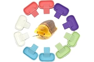 Isopod 10 Pack Feeding Dish | Isopod Food Tray | Insect Dish | Insect Feeder | CTWPets (Pastel Tones)