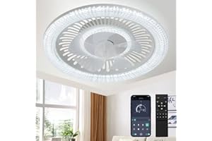 Spnoid Ceiling Fan with Lights and Remote,20'' Low Profile Ceiling Fans with Lights, Fandelier Ceiling Fan Light,DC Quiet Mot