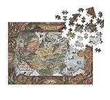 Dark Horse Deluxe Dragon Age: World of Thedas Map