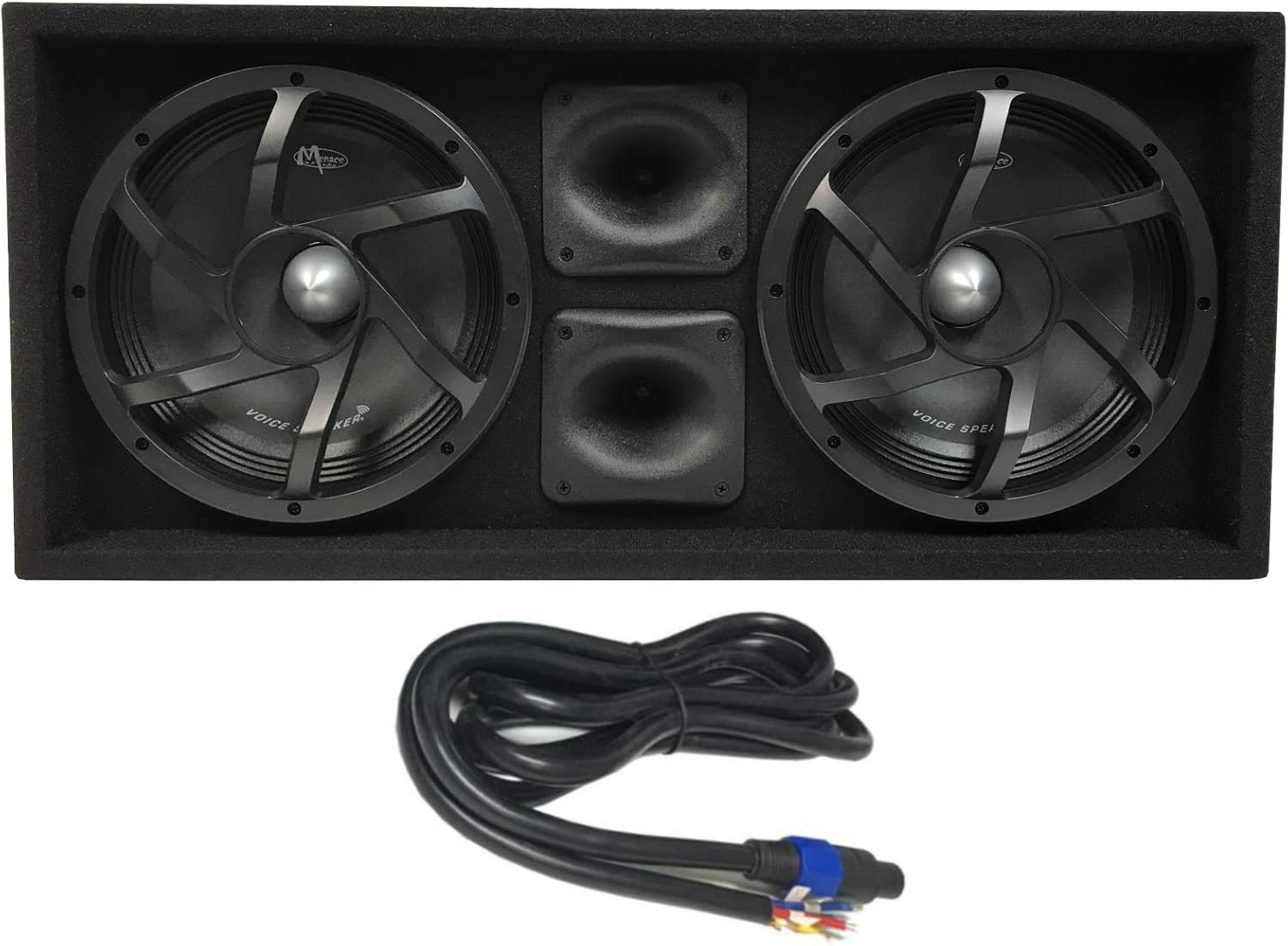 VOICEBOX Dual Loaded 10" Midrange Speaker Enclosure