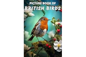 Picture Book of British Birds: Colorful Extra-Large Print Bird Pictures with Names | A Gift/Present Book for Alzheimer's Pati