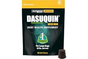 NUTRAMAX LABORATORIES Nutramax Dasuquin for Large Dogs, Joint Health Supplement, Contains Glucosamine for Dogs, Plus Chondroitin, ASU, MSM and More, Supports Healthy Joints, Soft Chews, 42 Count