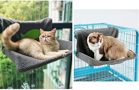 amazon cat radiator bed