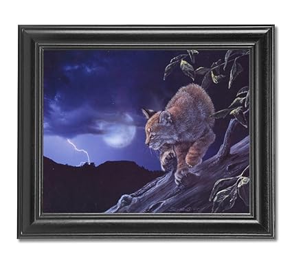 Mountain Lion Bobcat Prints - Hack For Roblox On Xbox One