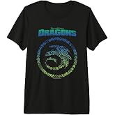 How to Train Your Dragon Toothless Vintage Symbols Logo Premium Tri-blend T-Shirt