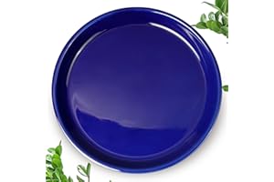 EPFamily Plant Saucer for Outdoors - Ceramic Plant Saucer, 10 Inch Plant Trays for Indoors, Round Flower Pot Saucer, Large Plant Drainage Tray, Plant Plates to Catch Water Blue