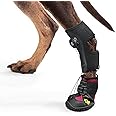 Drop Foot Brace with Reel(No Knuckling Boot Brace) for Dog - Corrective Dog Shoes to Safely Lift Toes for Foot Issues, Arthritis, and improving Walking gait in Dogs(XL)