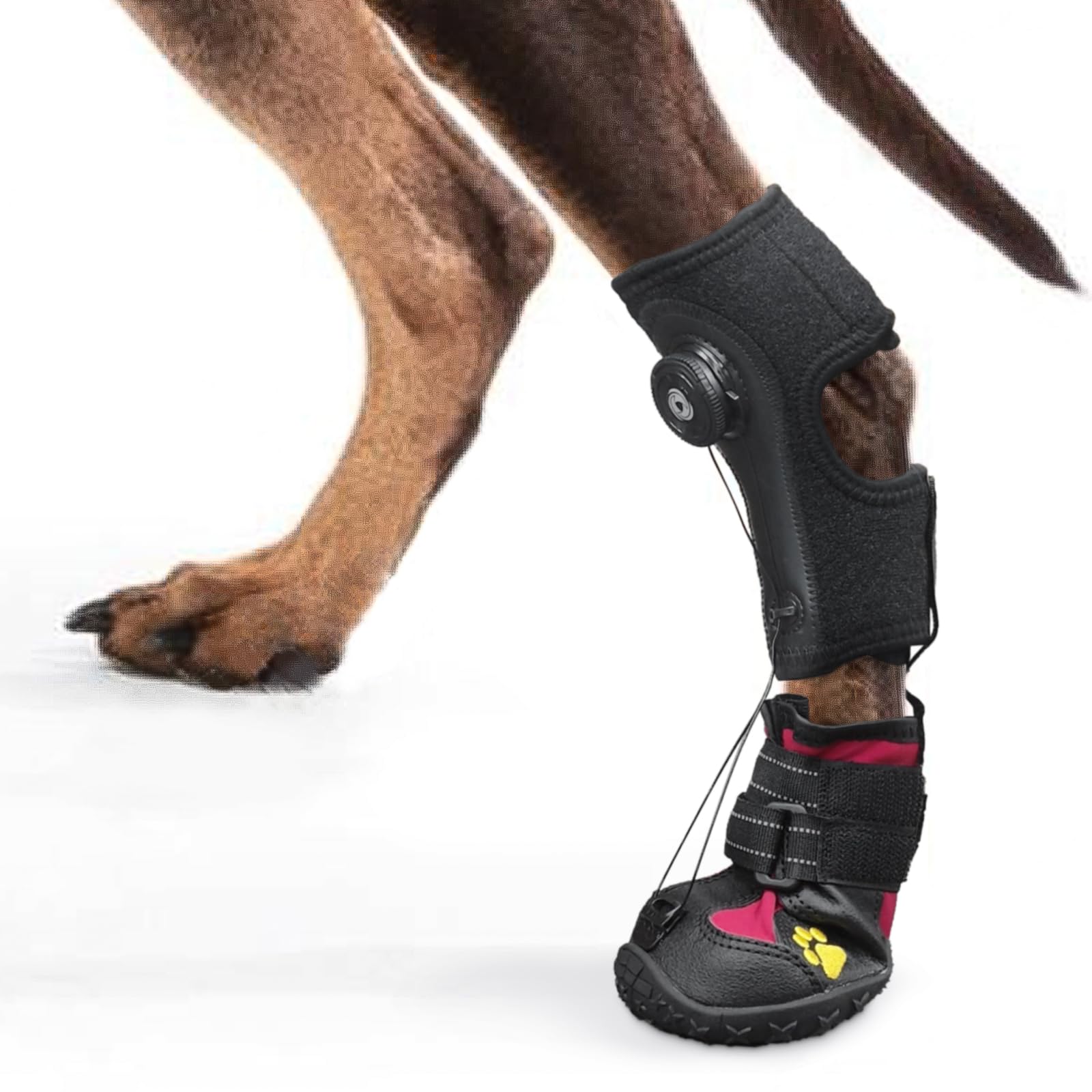 Photo 1 of Drop Foot Brace with Reel(No Knuckling Boot Brace) for Dog - Corrective Dog Shoes to Safely Lift Toes for Foot Issues, Arthritis, and improving Walking gait in Dogs(XL)