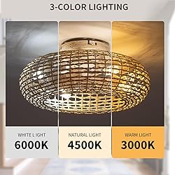 Alaruder Boho Caged Ceiling Fans with Lights Flush