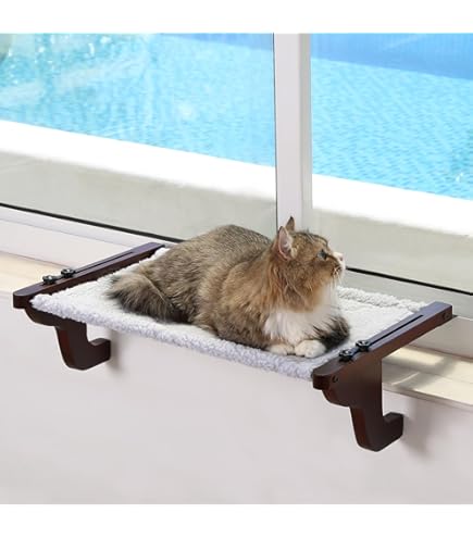 Cama Para Gato CoolEx Percha Para Ventana De Gato, Hamaca Inalu00e1mbrica  Para Ventana De Gato, Cama De Madera Para Gatos Para Ventana, S En El