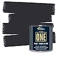 THE ONE Paint & Primer: Most Durable All-in-One Furniture Paint, Cabinet Paint, Front Door Paint, Wall Paint, Bathroom, Kitchen - Fast Drying Craft Paint Interior/Exterior (Charcoal, Matte, 8.5oz)