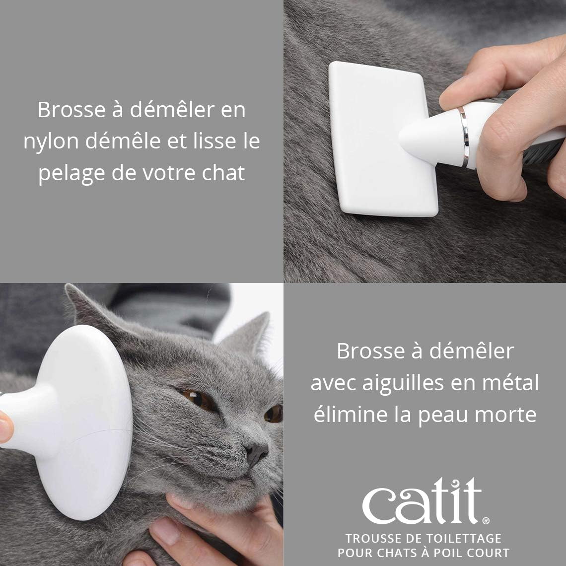 Cat It Kit De Toilettage Pour Chats A Poils Courts Amazon Fr Animalerie