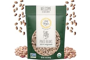 1000 Springs Mill - Organic Pinto Beans | Used for Soups, Stews, Dips, Chili, Burritos, Refried Beans and more | Bulk Dry Brown Beans | Resealable Bag | Vegan Friendly | 16oz (Pack of 1)
