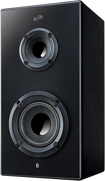 Amazon.com: iLive Bluetooth Portable Speaker, Black: Home Audio & Theater
