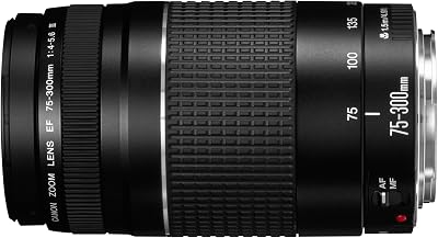 Canon EF 75-300mm f/4-5.6 III Telephoto Zoom Lens Canon DSLR