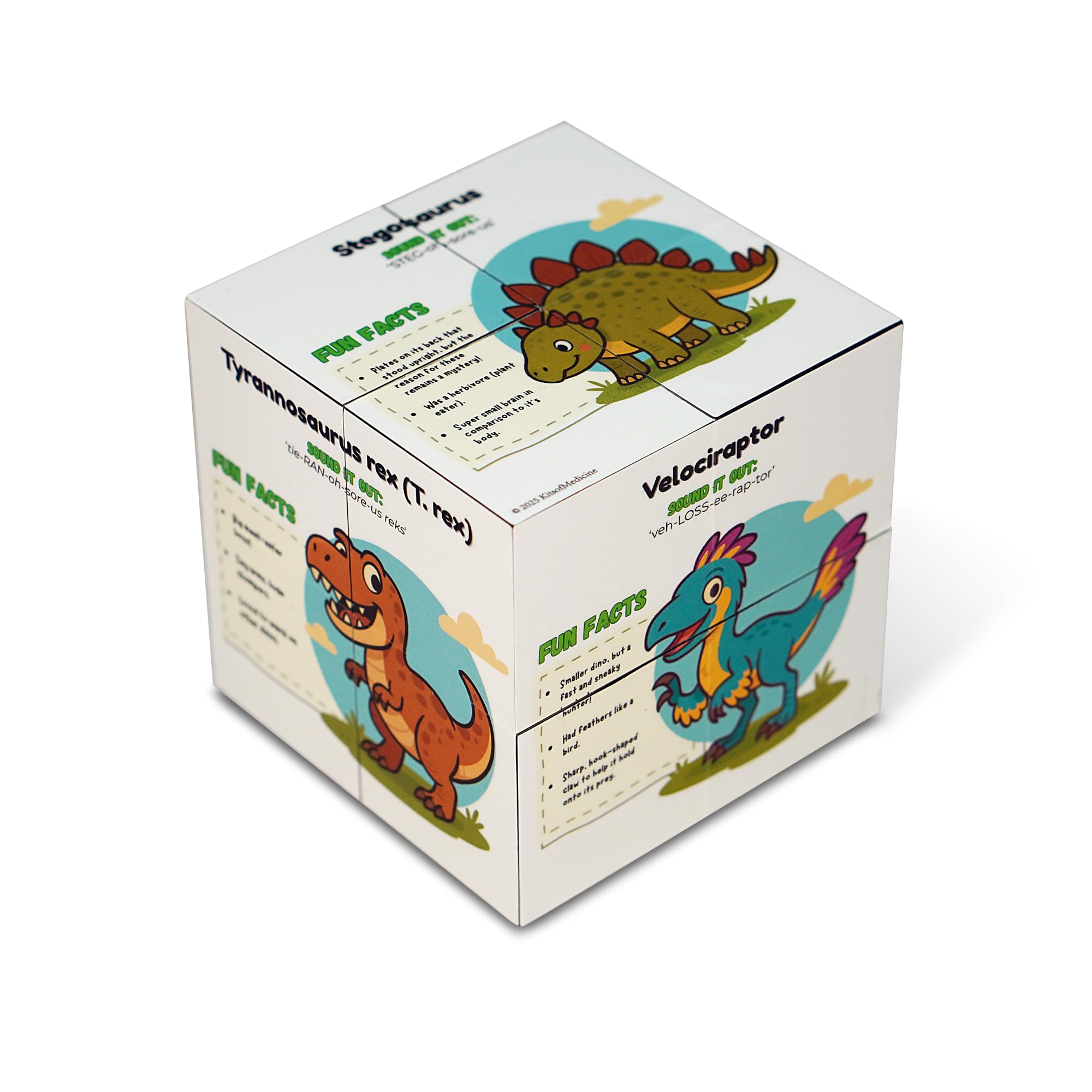 Dinosaur Cube | Foldable Educational Cube with Illustrated Dinos, Fun Facts & Pronunciation Guide