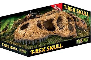 Exo Terra T-Rex Skull Terrarium Decor