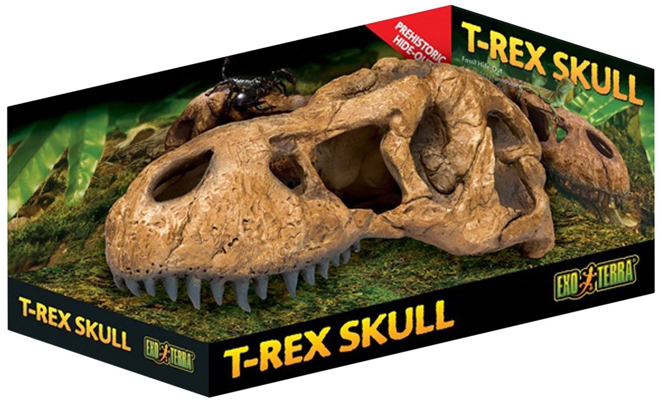 Exo Terra T Rex Skull,Brown