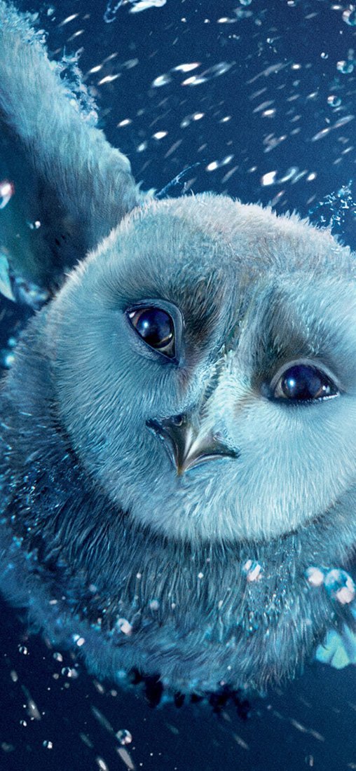 PeelitStickit Legend of The Guardians The Owls of Ga Hoole, vinyl