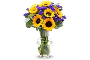 Stargazer Barn - Sunflower Fields Bouquet (Includes Glass Vase) - Fresh Flowers for Delivery - Gift for Anniversary, Birthday, Congratulations, Get Well, Graduation, Sympathy