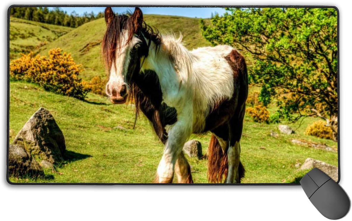 Horse Grass Beautiful Nature Gaming Mouse Pad Large Mouse