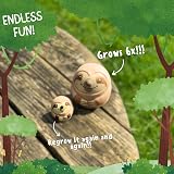 Boxer Gifts Grow a Sloth Toy - Kids Grow 6x Size Stocking Filler view 5