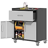 BIZOEIRON Metal Storage Cabinet with