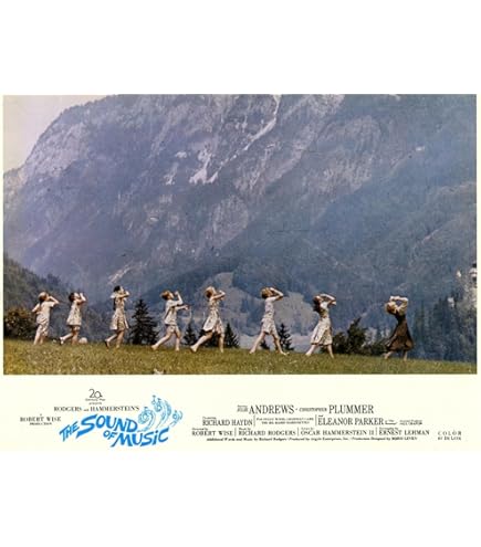 Original Sound Of Music, The (1965) Movie Poster In C8 Condition For $750.00 - Foto 10