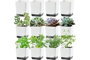 Oliz 3 inch Small Nursery Pots, Seedling Pots, 20 Pack Plastic Plant Pots for Indoor Outdoor Plants, Decorative White Succulent Flower Pots with Drainage Holes and Saucers