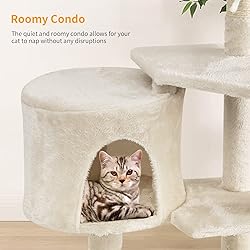 BestPet Cat Tree 36 inch Tall Scratching Toy