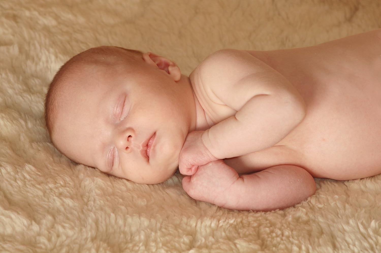 Tapis De Fourrure Coussin Pour Poussette Buggy Bebe Siege Enfant 80 X 40 Cm Peau Dagneau Medical Avec Ouvertures Pour Haltegurte Coussin De Siege Bebe Puericulture Agri Khoramdareh Ir