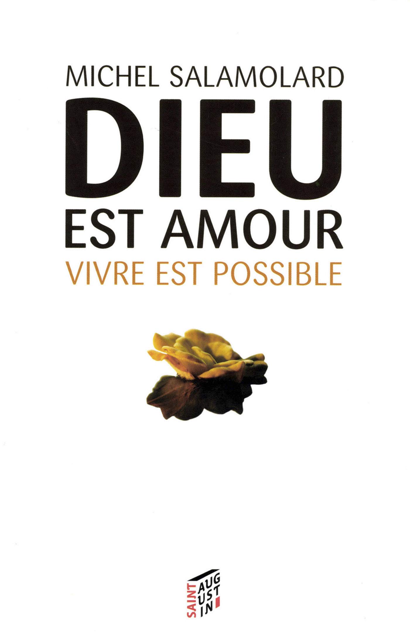 Dieu Est Amour Vivre Est Possible L Experience Chretienne De La Vie Spiritualite French Edition Salamolard Michel Amazon Com Books