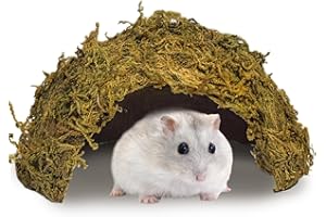 kathson 1Pcs Hamster Hideout, Moss Coconut Hut, Pet Hiding House, Hamster House for Mouse Mice Rat Guinea Pigs Reptiles