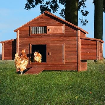 Zooprimus Poulailler En Bois Pour Jardin Extérieure Cage Canard équipé 2 Nichoirs 188 X 87 X 113 Cm 129 Ferme De Terrain