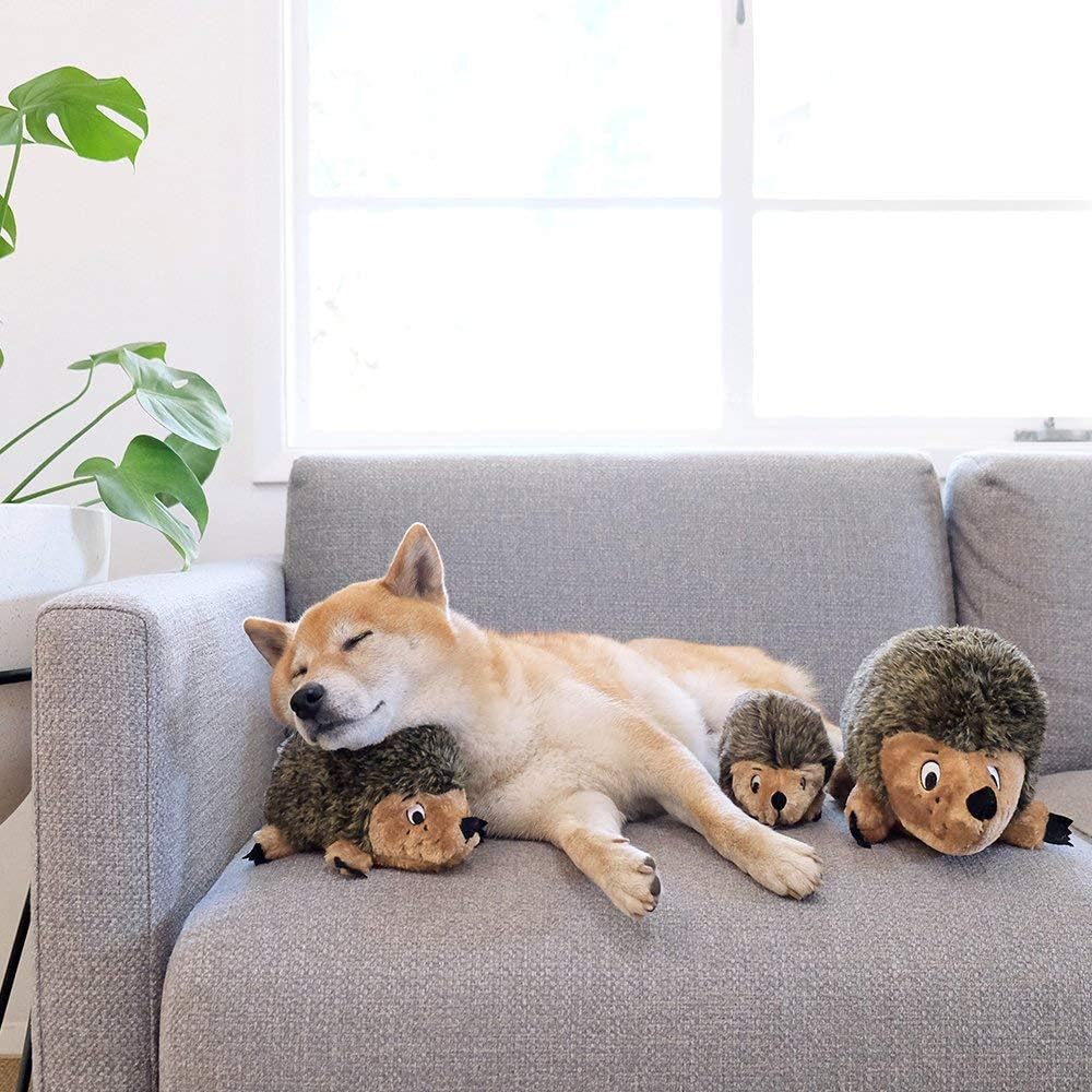 Pet Supplies : Pet Squeak Toys : Outward Hound Kyjen Hedgehogz Squeak Toy for Dogs : 