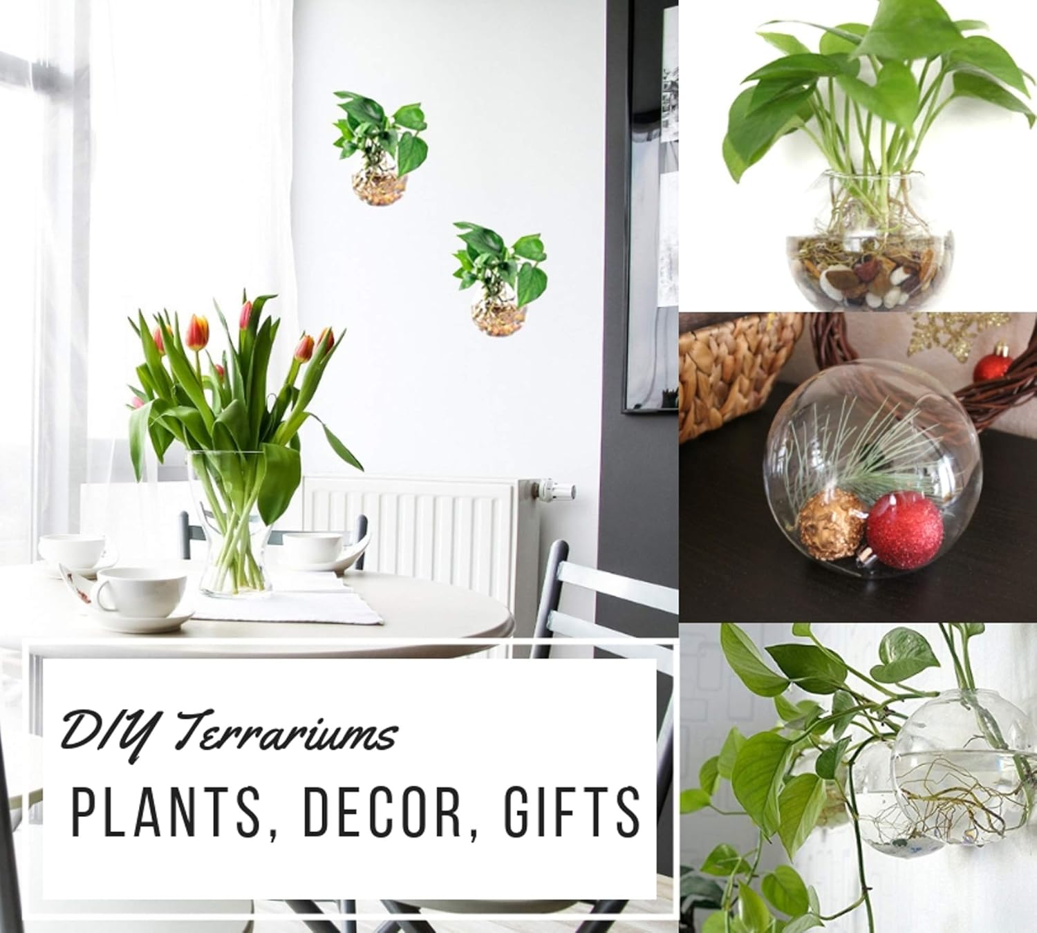 GEOLUX 6-Pack Wall Hanging Planters Glass Terrariums - Round Air Plants Wall Containers Succulents Globe Orbs (4.7 x 4.7 Inches): Pet Supplies