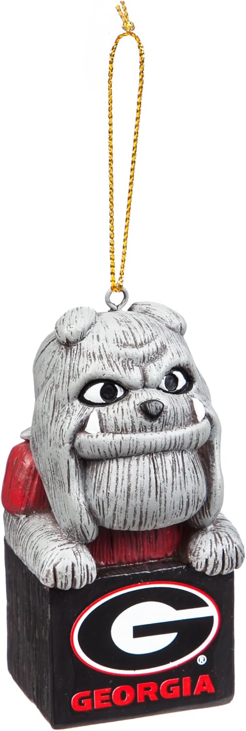 Evergreen Team Sports America NCAA Unisex Tiki Design, One Size