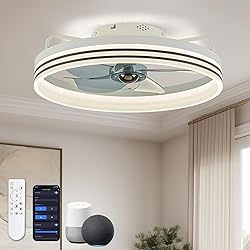 LUDOMIDE Smart Ceiling Fan with