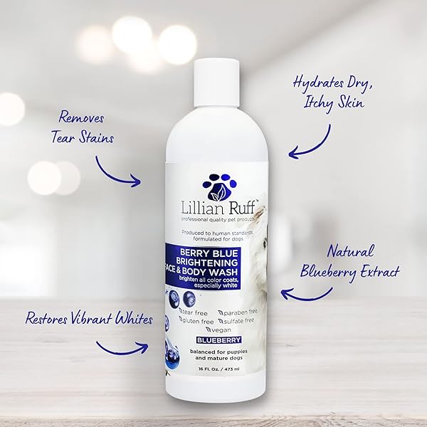 LILLIAN RUFF BERRY BLUE BRIGHTENING FACE AND BODY WASH FOR DOGS – BLUEBERRY SHAMPOO – REMOVE TEAR STAINS, HYDRATE DRY ITCHY SKIN, ADD SHINE & LUSTER TO COATS (BERRY BLUE SHAMPOO 16OZ)