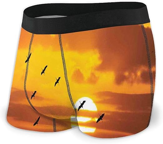 v shape man underwear